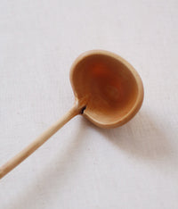 Branch Coffee Spoon