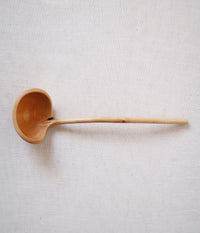 Branch Coffee Spoon