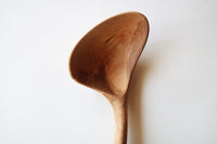 Branch Serving Spoon 2L-A [Wild Cherry]