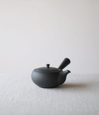 Oval Kyūsu Teapot with Side Handle