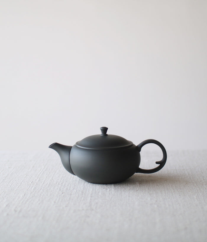 Traditional Artisan Japanese Teapot Wooden Handle Tea Cup Ceramic