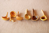 Branch Coffee Spoons (L+)