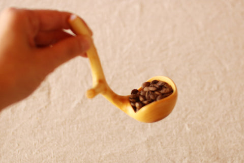 Branch Coffee Spoons (L+)