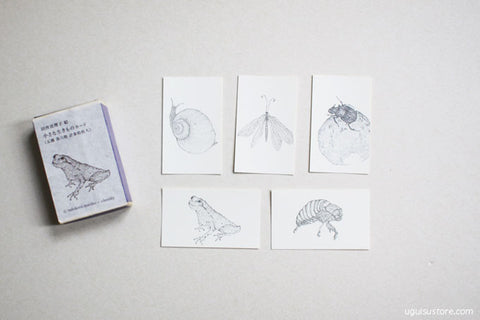 Little Creatures Mini Cards in Match Box