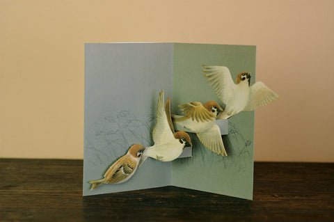 Tobidustry Pop-Up Bird Card {Tree Sparrow}