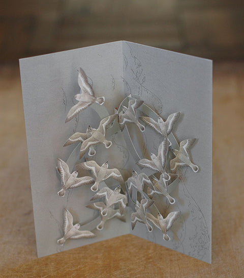 Tobidustry Pop-Up Bird Card {Snowy Plover}