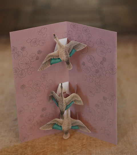Tobidustry Pop-Up Bird Card {Spot-billed Duck}