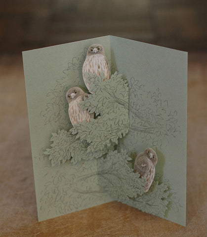 Tobidustry Pop-Up Bird Card {Brown Hawk Owl}