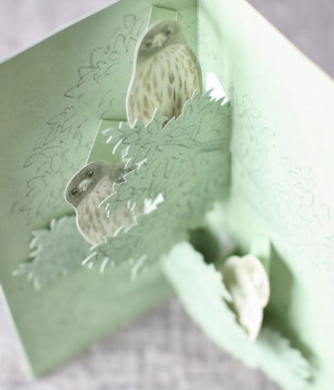 Tobidustry Pop-Up Bird Card {Brown Hawk Owl}