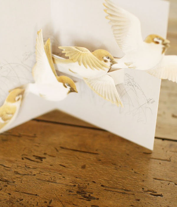 Tobidustry Pop-Up Bird Card {Tree Sparrow}