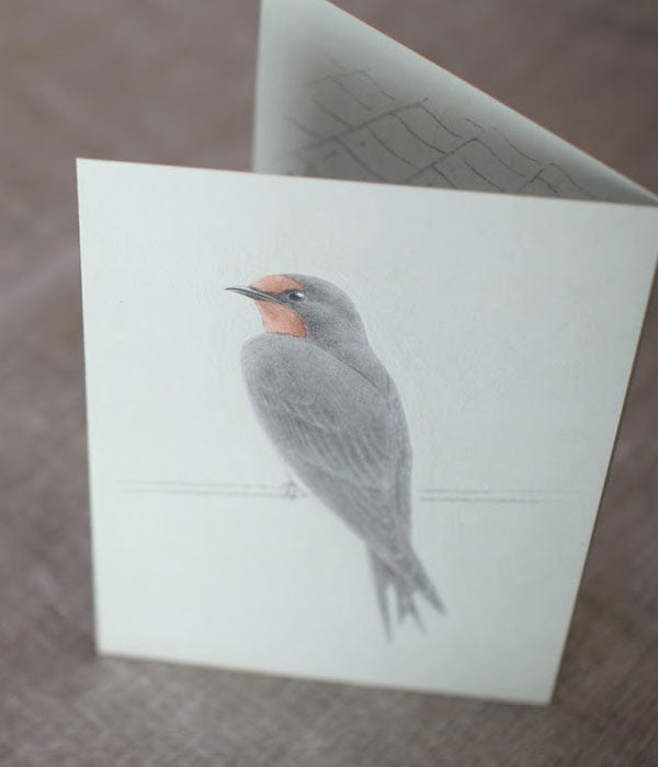 Tobidustry Pop-Up Bird Card {Swallow}