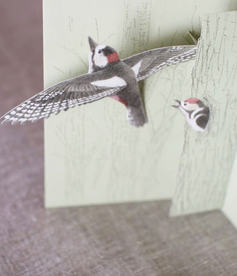 Tobidustry Pop-Up Bird Card {Woodpecker}