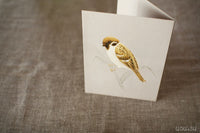 Tobidustry Pop-Up Bird Card {Tree Sparrow}