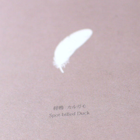 Tobidustry Pop-Up Bird Card {Spot-billed Duck}