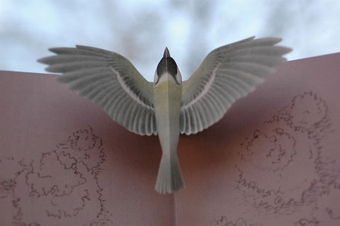 Tobidustry Pop-Up Bird Card {Japanese Tit}