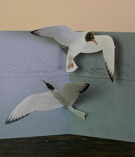 Tobidustry Pop-Up Bird Card {Black-Headed Gull}