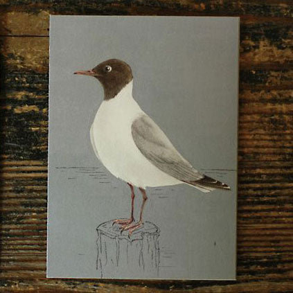 Tobidustry Pop-Up Bird Card {Black-Headed Gull}